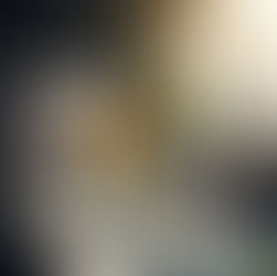 Business meeting with diverse group around a table. People present ideas on a whiteboard labeled "Development Theory." Laptops display charts.