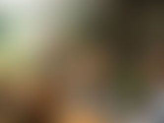 A professional business consultant and client discussing business valuation with a laptop showing growth charts in a modern, plant-filled office with the text "Business Valuation with Development Theory" and "DT" logo.