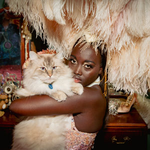 Louciuos Our in house Cat