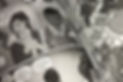 IMG_0556.jpeg