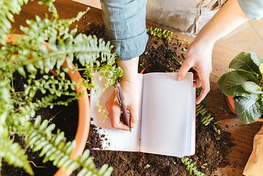 someone writing in their journal on the earth with brown dirt and green plants around as background for Media page