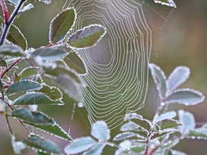 F**k New Year Resolutions