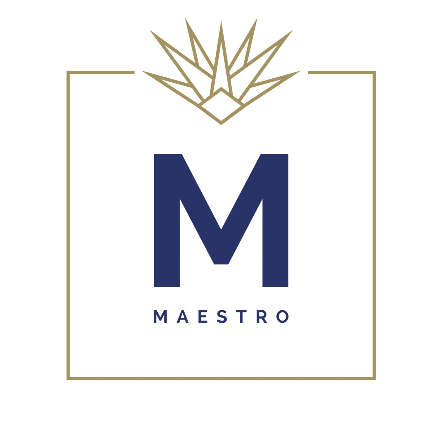 Maestro gallery