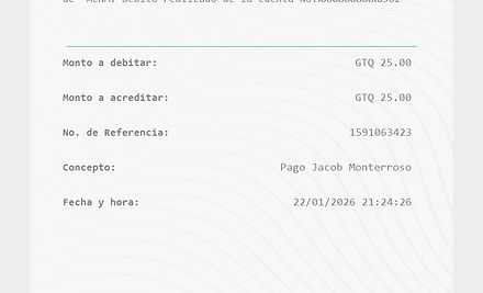 Ejemplo Boleta.jpg