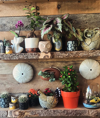 a variety of interesting pots