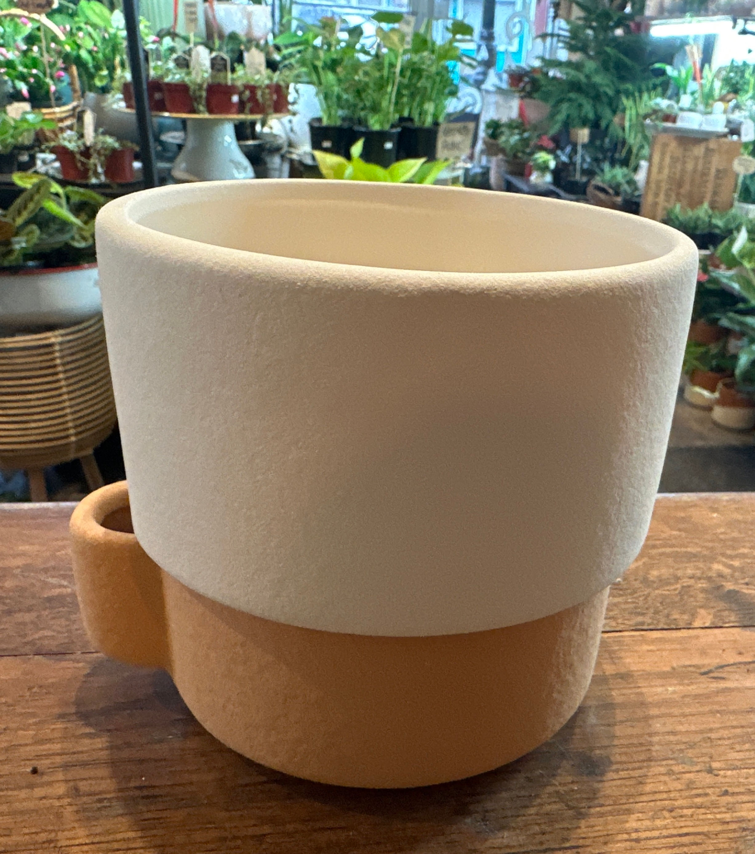Cream Terracotta Bottom Water Pot( has drainage) 5.5”