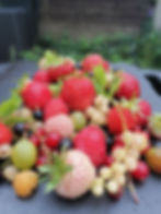 fresh fruit