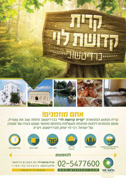 קרית קדושת לוי