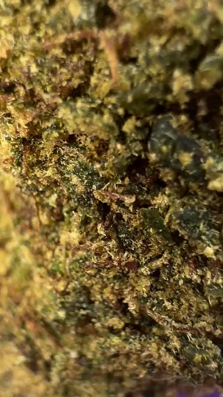 Thumbnail: ΔLAB-THC Creamy Kim  [25%] (Infused Flowers Grade : AAAA)