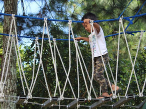 An introduction to "Why E.L.F?"