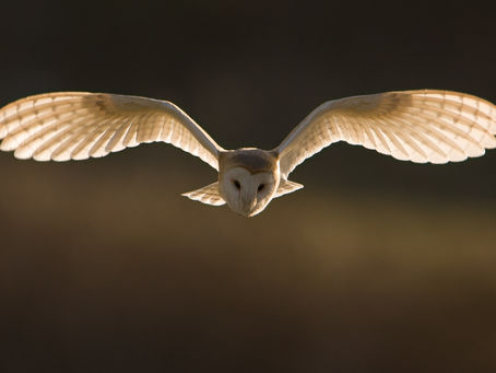 Autumnal adventures and spooky goings on this October