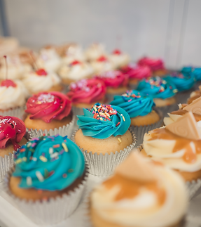 Travelling cupcake.png