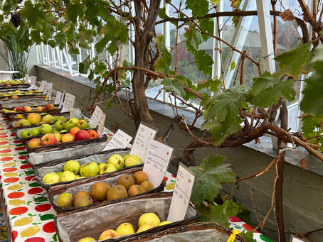 Ancient Apples, Fascinating Folklore, and Delectable Delights: It’s Apple Day at Houghton Lodge Gardens