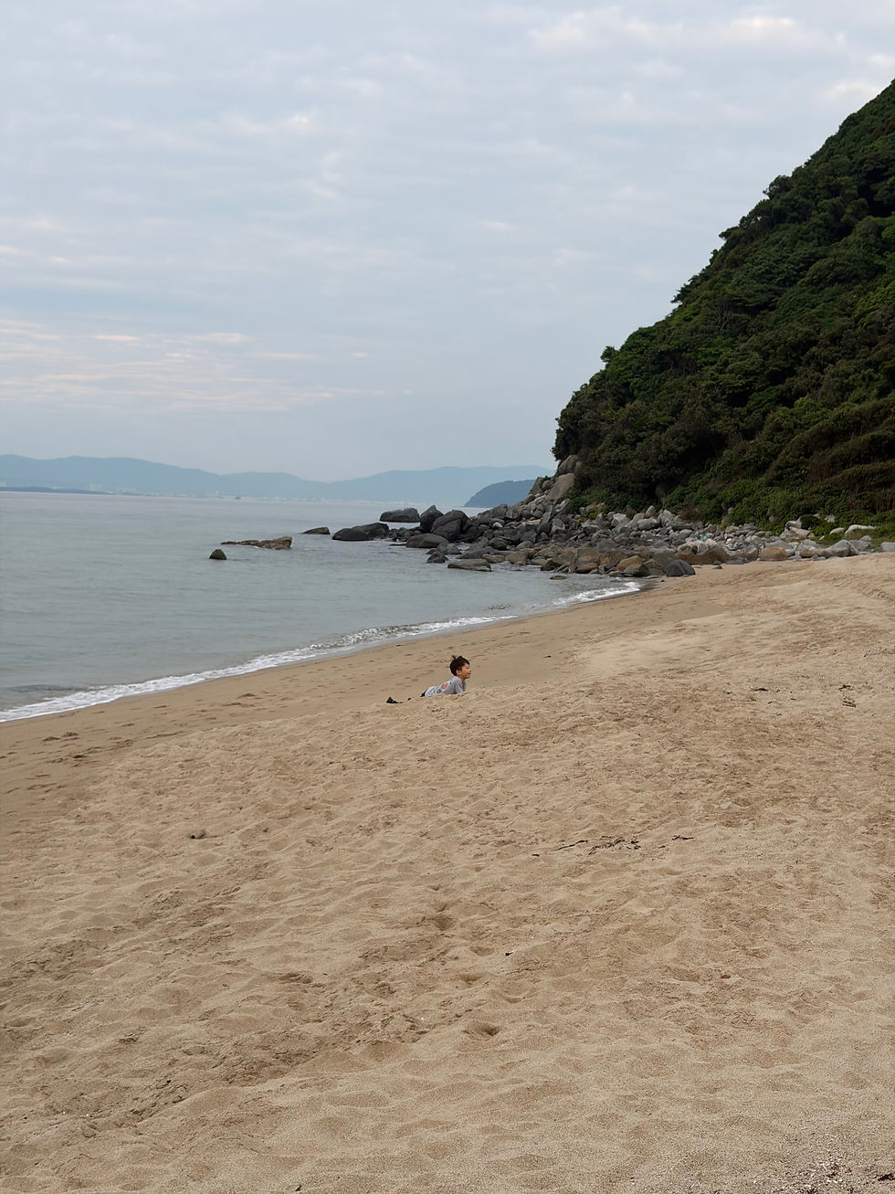 IMG_7254.jpeg