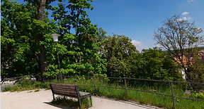 Hier seht ihr ein Bild von der Neuburger Altstadt das von einem Punkt der Tour gemacht wurde