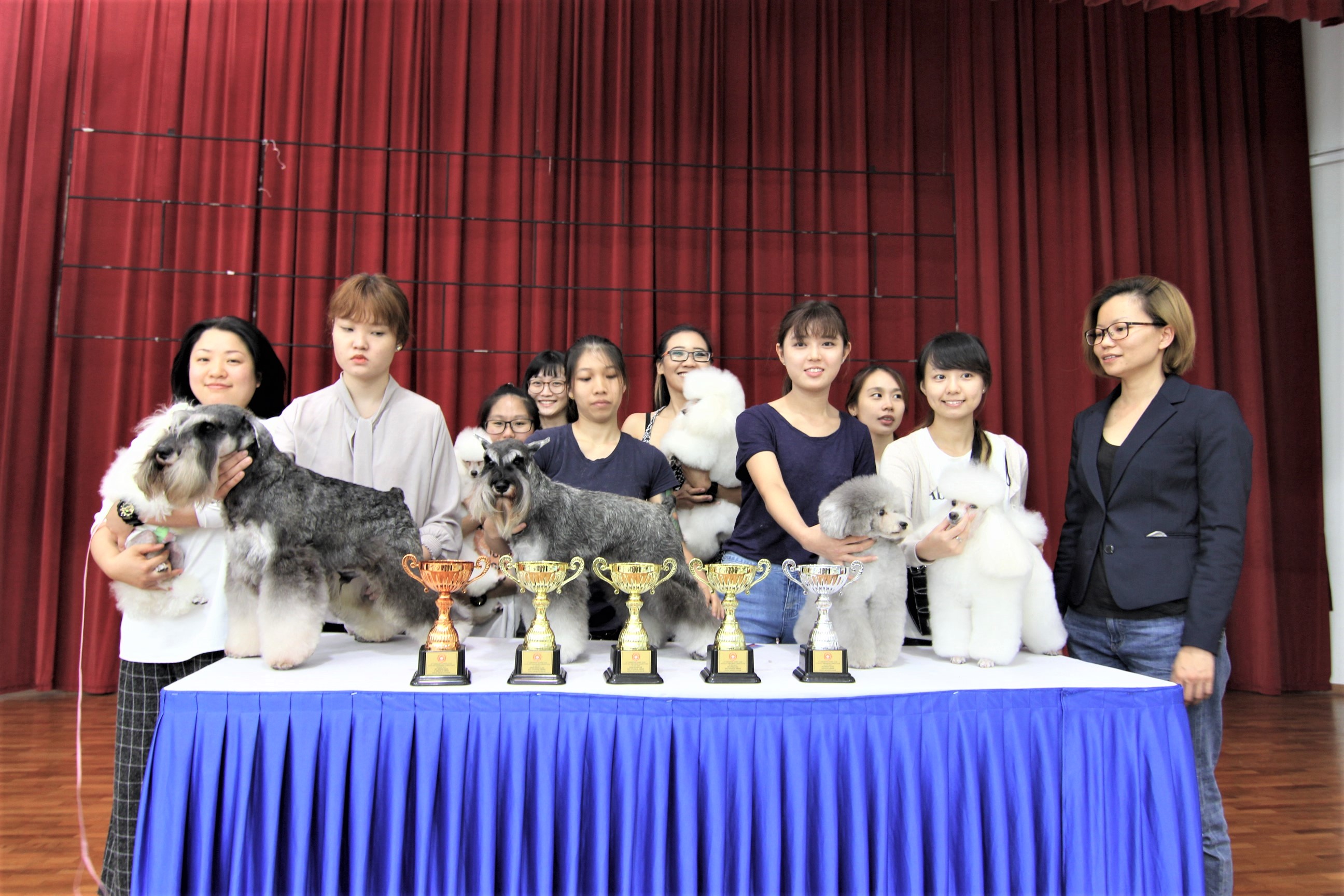 SKC Elite Grooming Competition