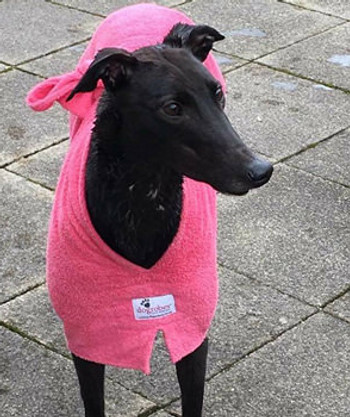 Rosie the Greyhound