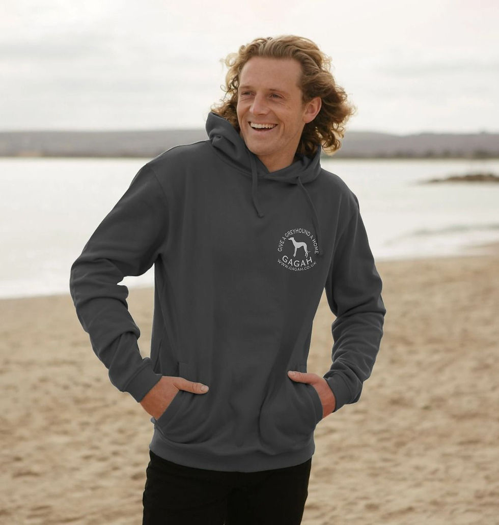 GAGAH Men's Hoody