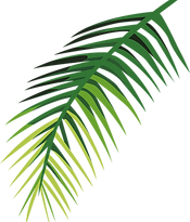 Tropical Leaf