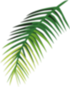 Folha tropical