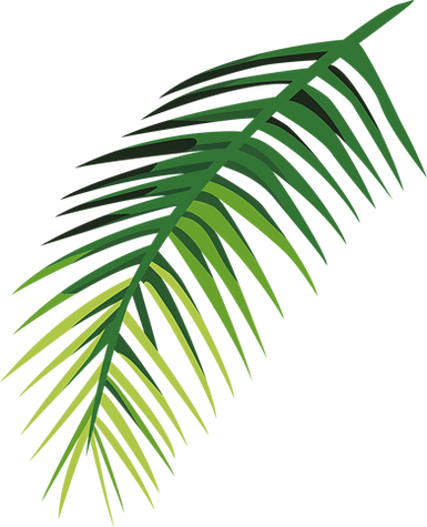 Tropical Leaf