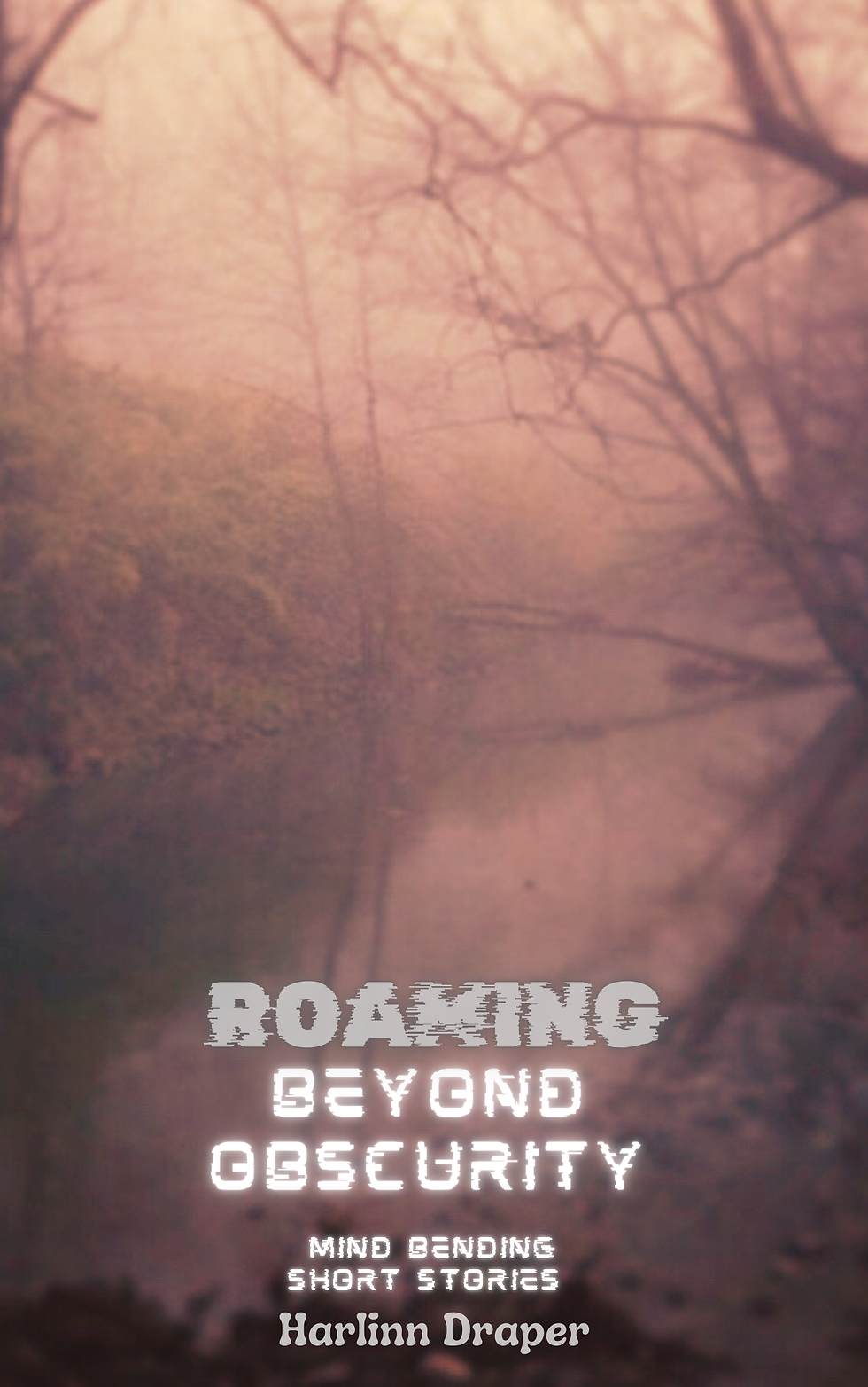 Debut book for fiction lovers
