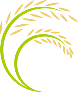 kisspng-rice-logo-cartoon-rice-ears-5a96be3cbc6f36.5632116615198285407718.png