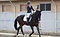 S__14671897_edited_edited.jpg
