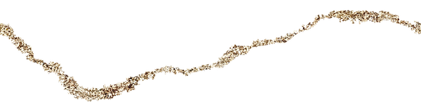 JtV (2).png