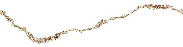 JtV (2).png