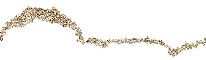 JtV (2).png