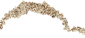 JtV (2).png
