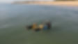 DJI_0033-00-00-56-500.jpg