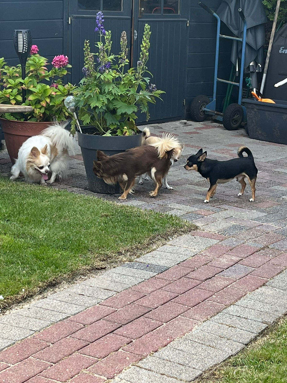 fc391824-f7ca-48e5-8f2c-717bb86d4e70