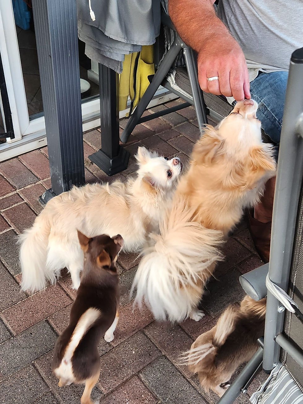 f1655560-50a3-4d7f-85bf-f5bc54f11895