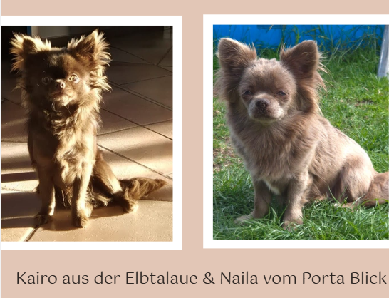 Screenshot 2026-03-24 181528