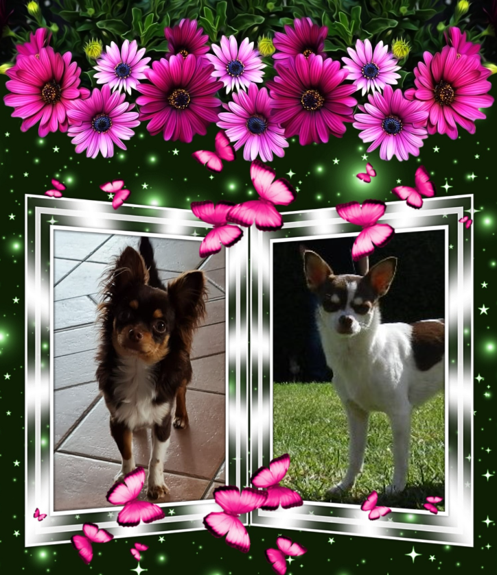 Denver und Ulanka