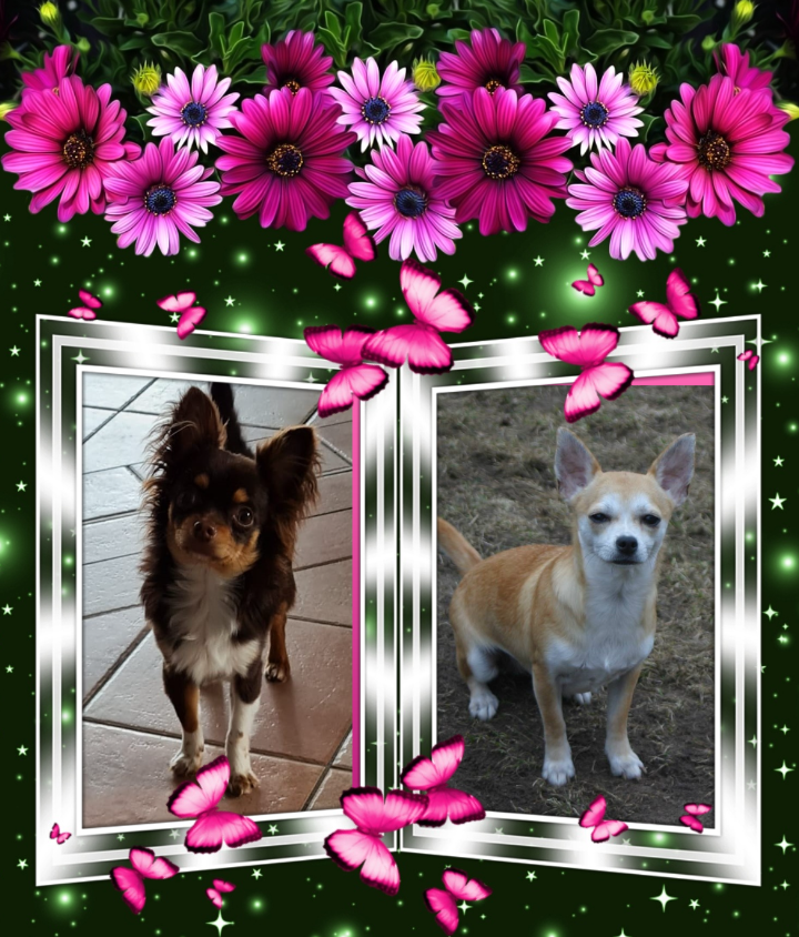 Denver und Ria