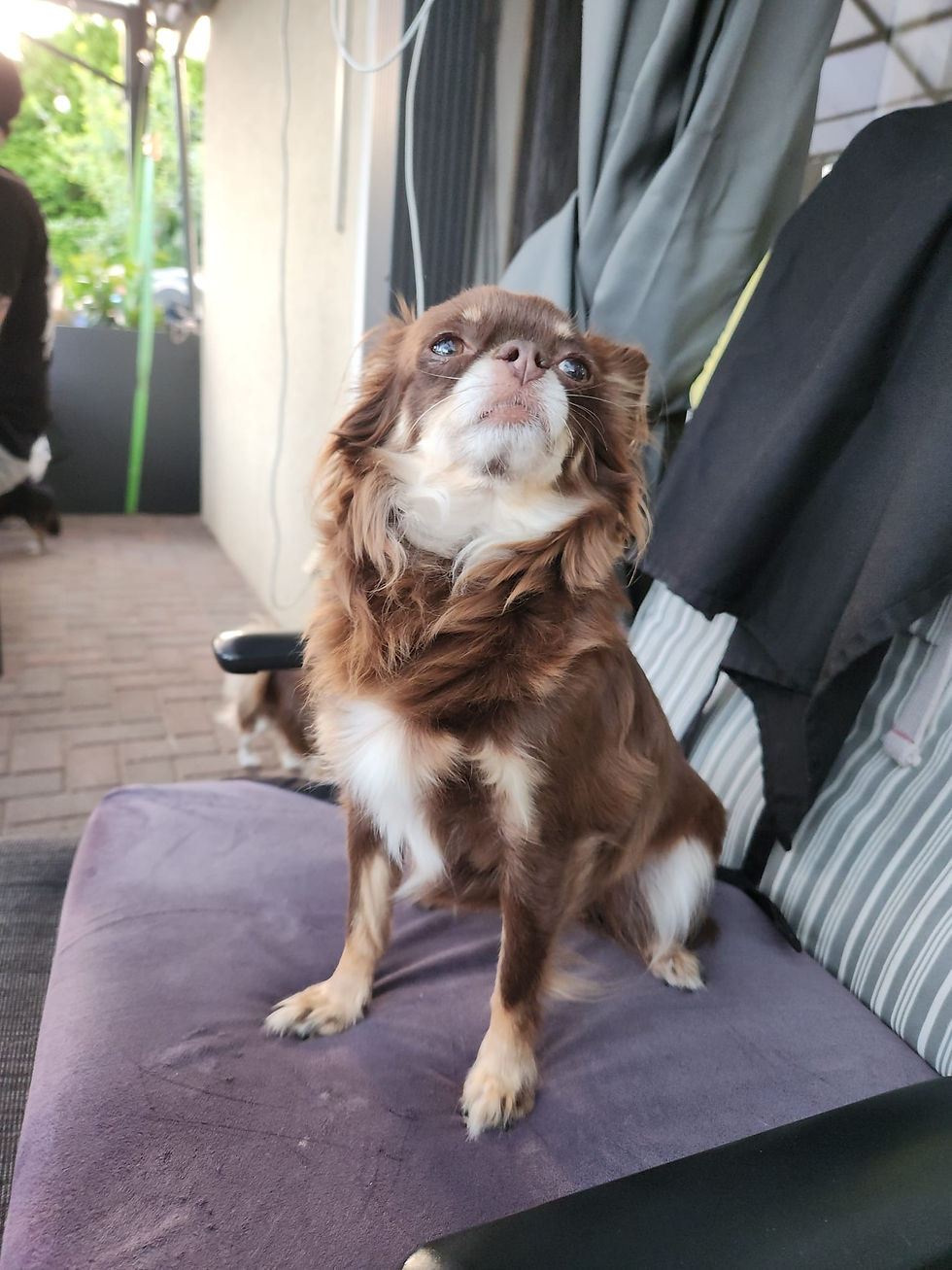 d7788352-5c61-4d89-aab4-dd5dbc71a39d