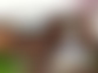 Benton Park West Real Estate Listings, 
April 8, 2016