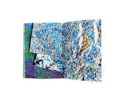 verzameling glitter book