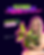 22.png