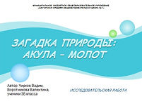 Загадка природы Акула-молот.jpg