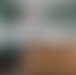 Project Tour: Forest Glen Residence