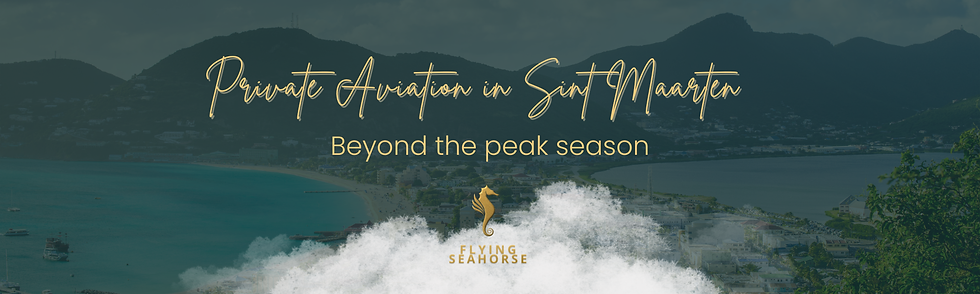 Private Aviation in Sint Maarten 