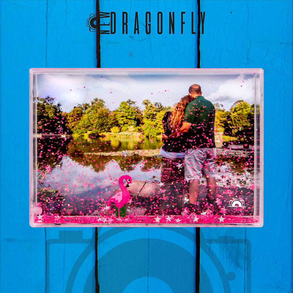 Miniatura: Shake Flamingo