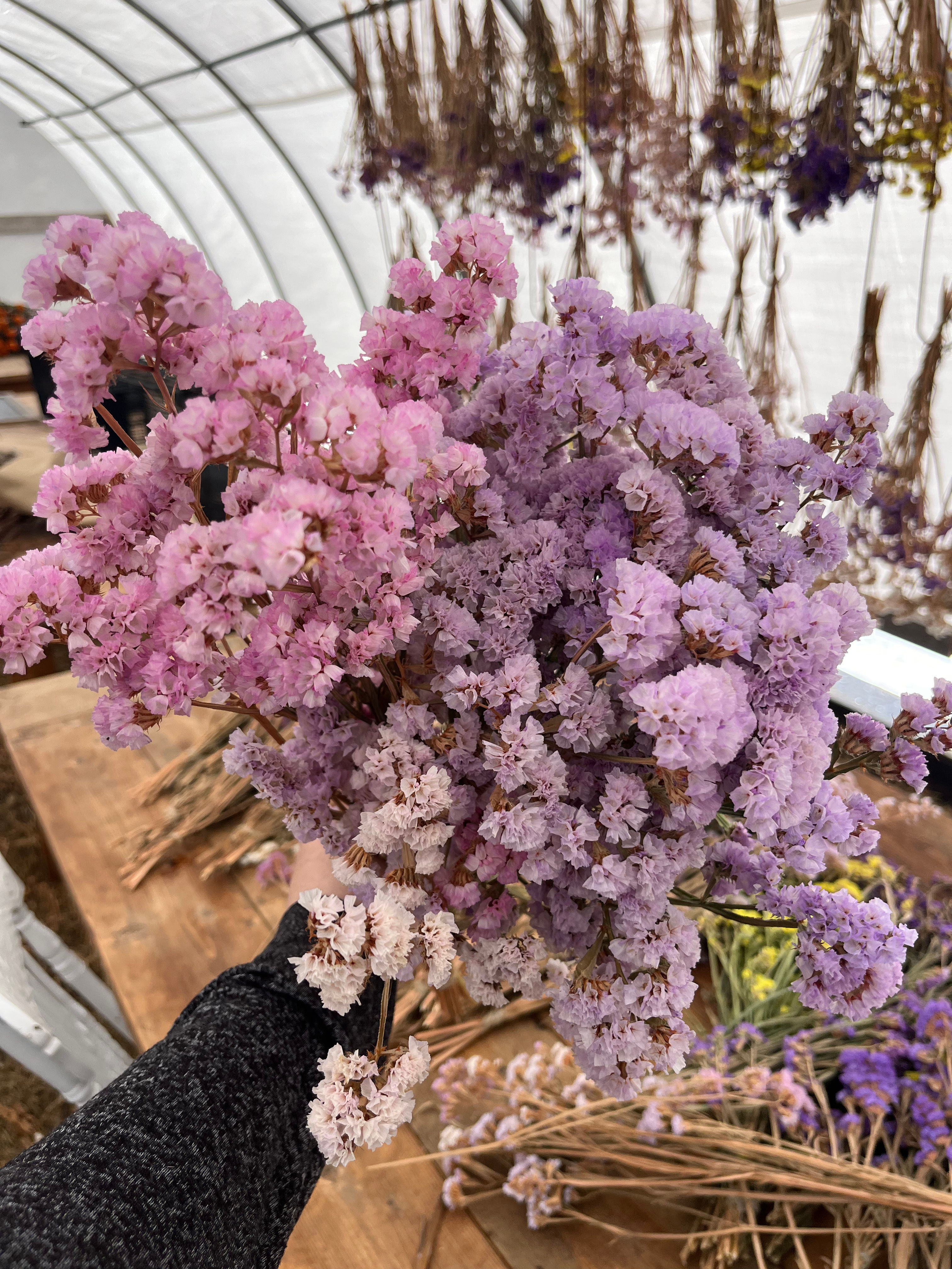 Dried Floral Arrangements