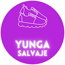 2(1).png