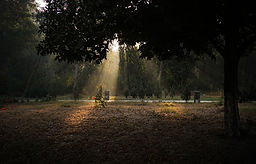 DSC05676.jpg