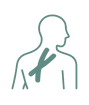 Kinesiology Taping Icon.png